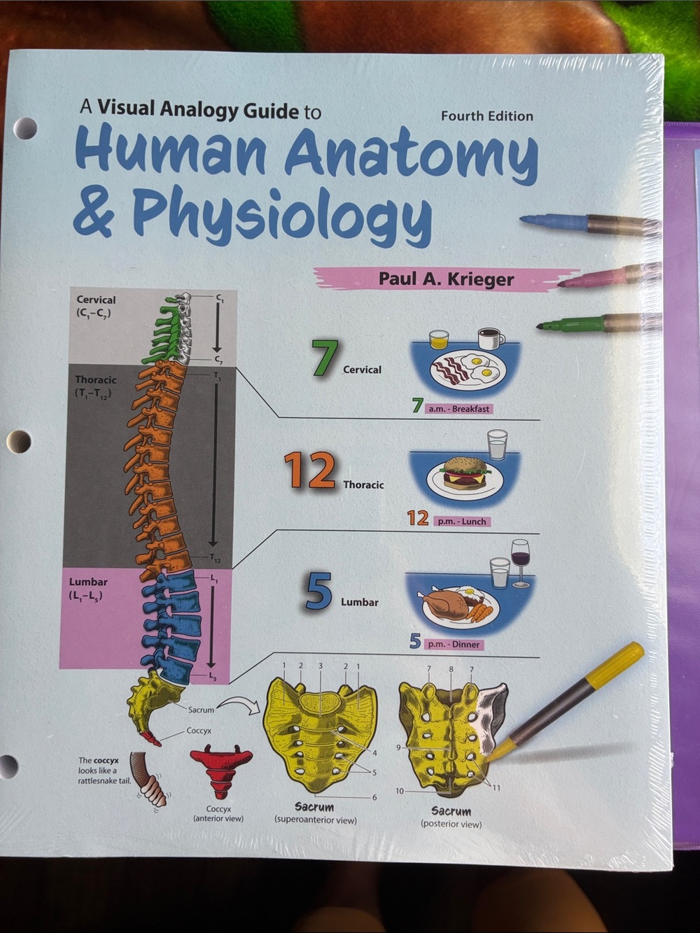 Human Anatomy & Physiology Visual Analogy Guide - ISBN: 978-1-64043-427-1